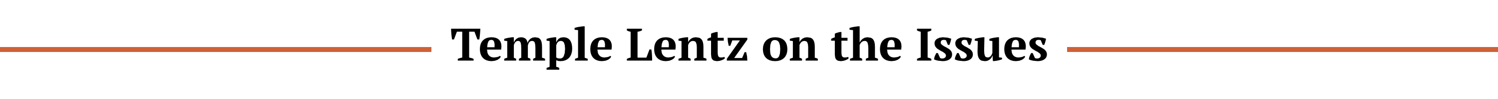 Homepage Divider